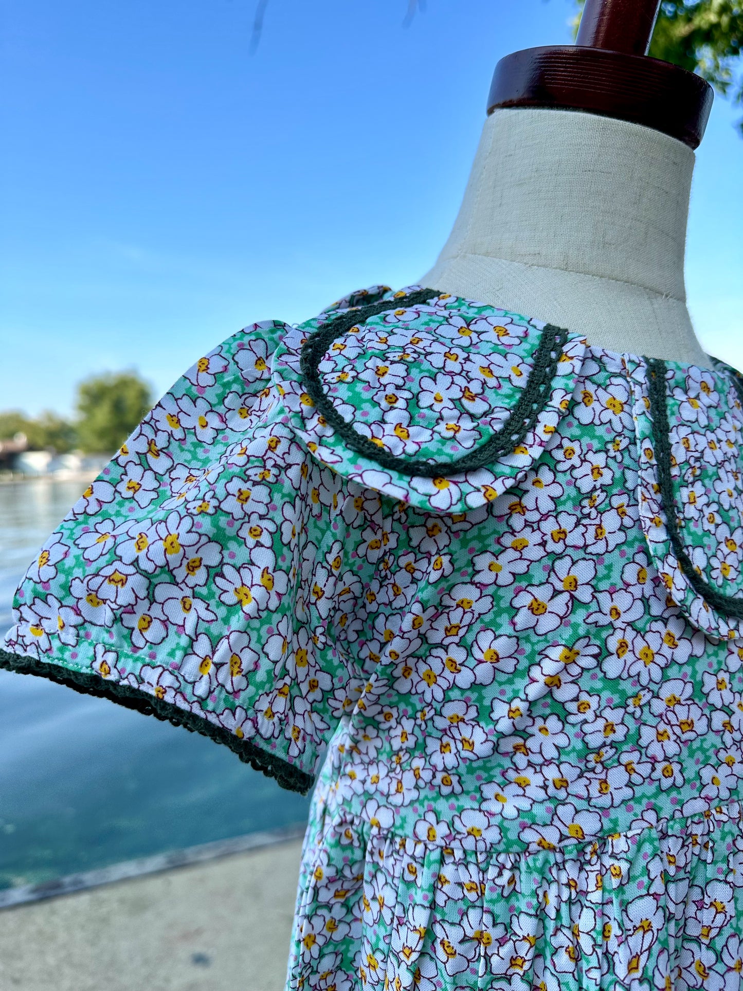 The Frenchie Dress